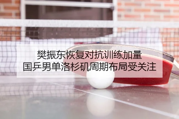 樊振东恢复对抗训练加量 国乒男单洛杉矶周期布局受关注